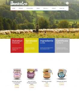 website bunicel